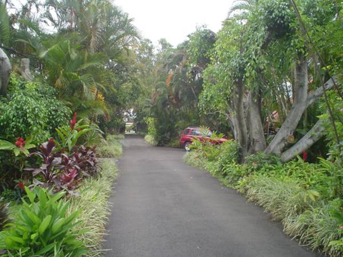 Hotel Villas Colibri Alajuela Exteriér fotografie